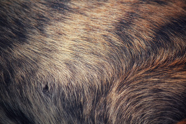 Similar image 8482925