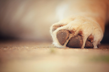 Similar image 8482927