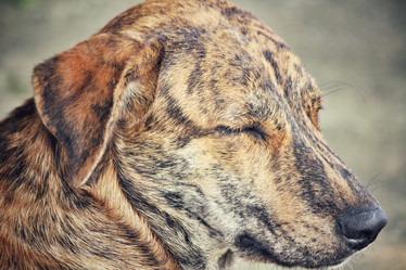 Similar image 8482932