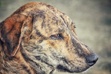 Similar image 8482933