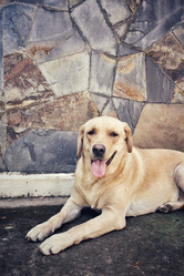 Similar image 8482937