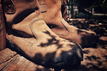 Similar image 8482939