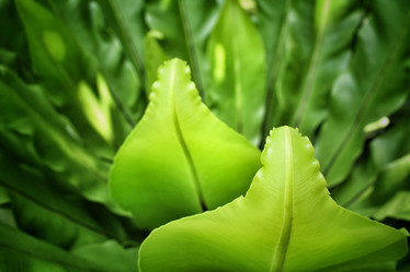 Similar image 8482944