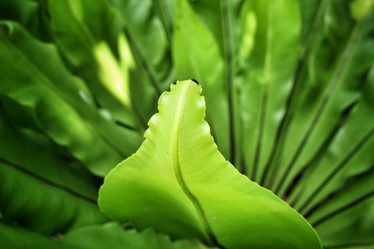 Similar image 8482945