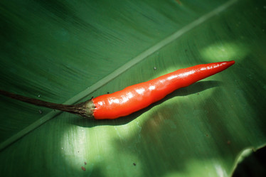 Similar image 8482946