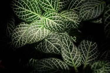 Similar image 8482947