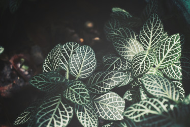 Similar image 8482949