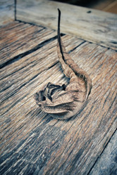 Similar image 8482956