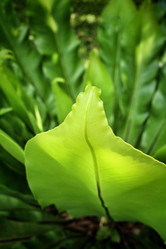 Similar image 8482957