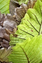 Similar image 8482958