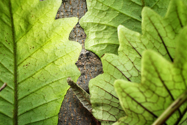 Similar image 8482960