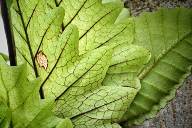 Similar image 8482961