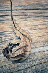 Similar image 8482968