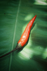 Similar image 8482969