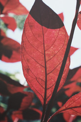 Similar image 8482970