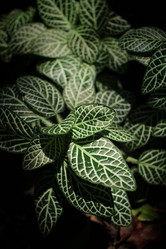 Similar image 8482973