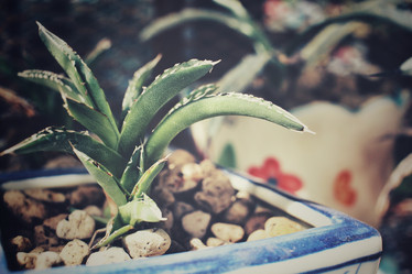 Similar image 8483044