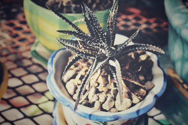 Similar image 8483045