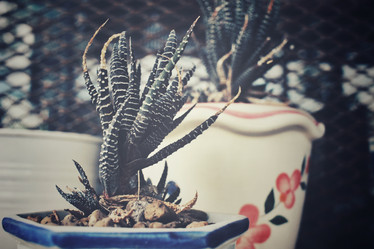 Similar image 8483048