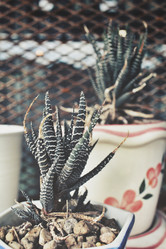 Similar image 8483049