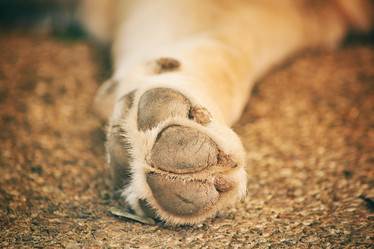 Similar image 8483057