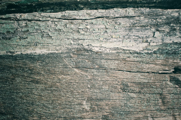 Similar image 8483071