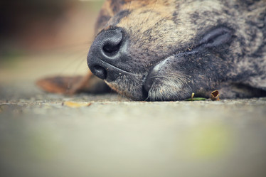 Similar image 8483074