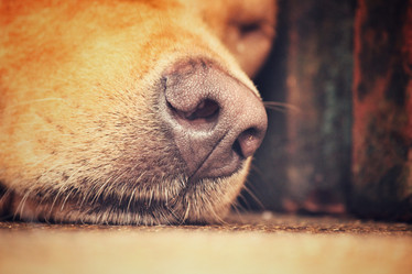 Similar image 8483095