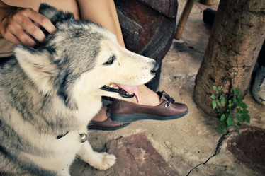 Similar image 8483100