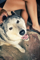 Similar image 8483101