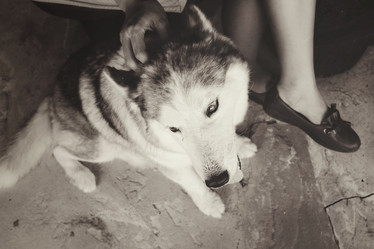 Similar image 8483125