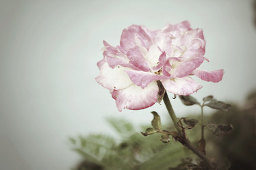 Similar image 8483131