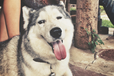 Similar image 8483136