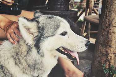 Similar image 8483137