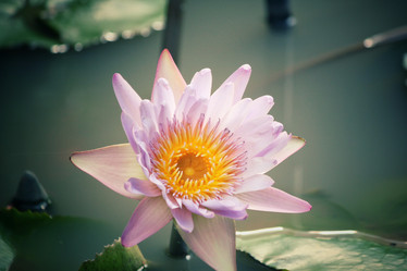 Similar image 8483141