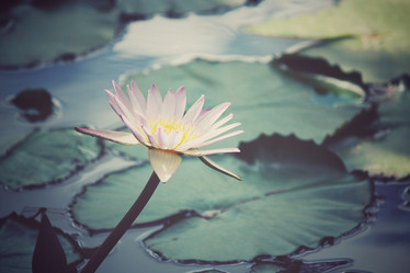 Similar image 8483148