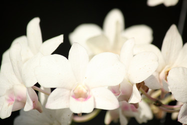 Similar image 8483150