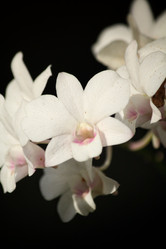 Similar image 8483151