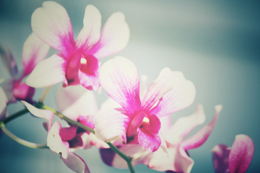 Similar image 8483152