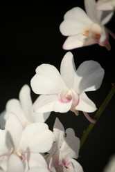 Similar image 8483153