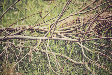 Similar image 8483156