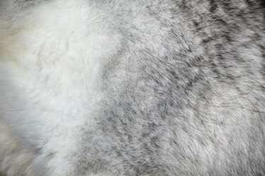 Similar image 8483158