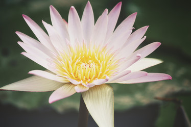 Similar image 8483175