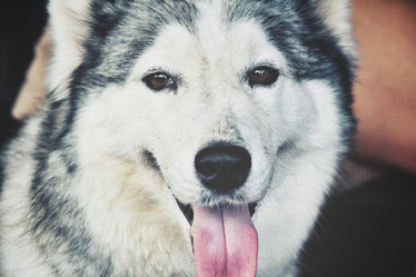 Similar image 8483177