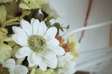 Similar image 8483190