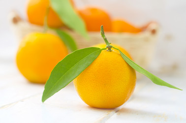 Similar image 8483316