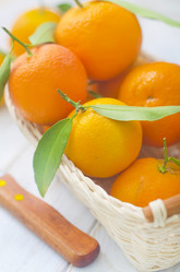 Similar image 8483320