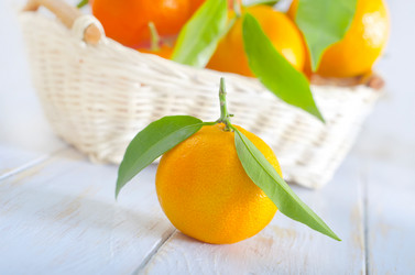 Similar image 8483322