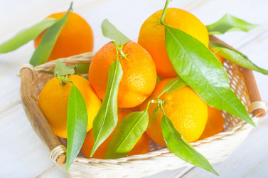 Similar image 8483335