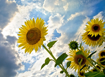 Similar image 8483358